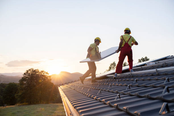Best Roof Moss and Algae Removal  in Garden City, MI