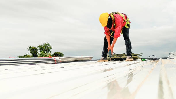 Best Cold Roofs  in Garden City, MI